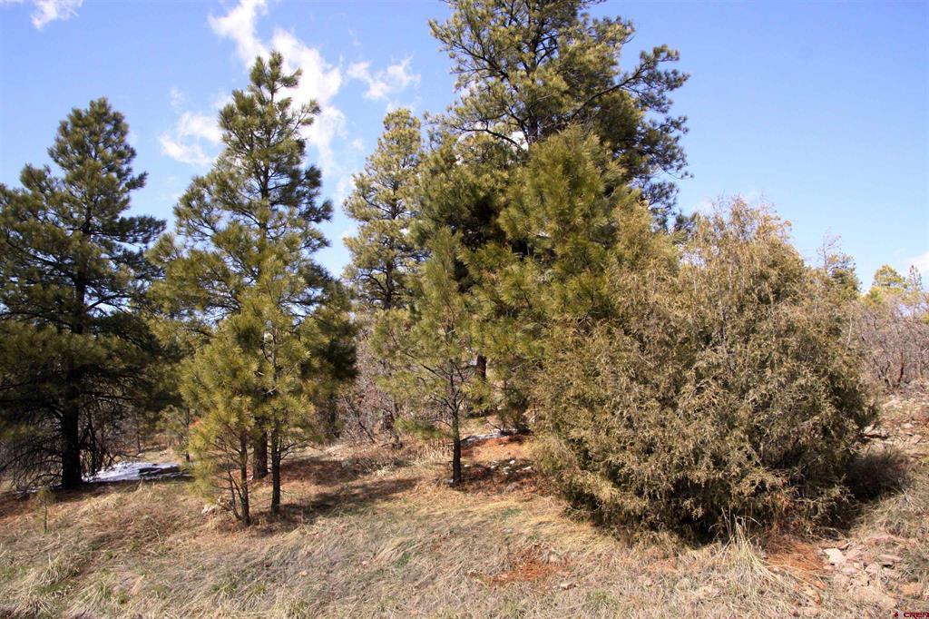 344 Caddy Circle Pagosa Springs CO 81147