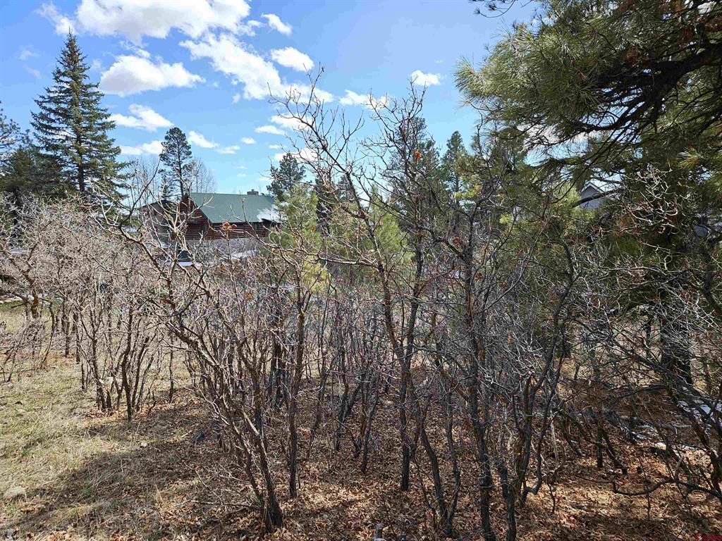 344 Caddy Circle Pagosa Springs CO 81147