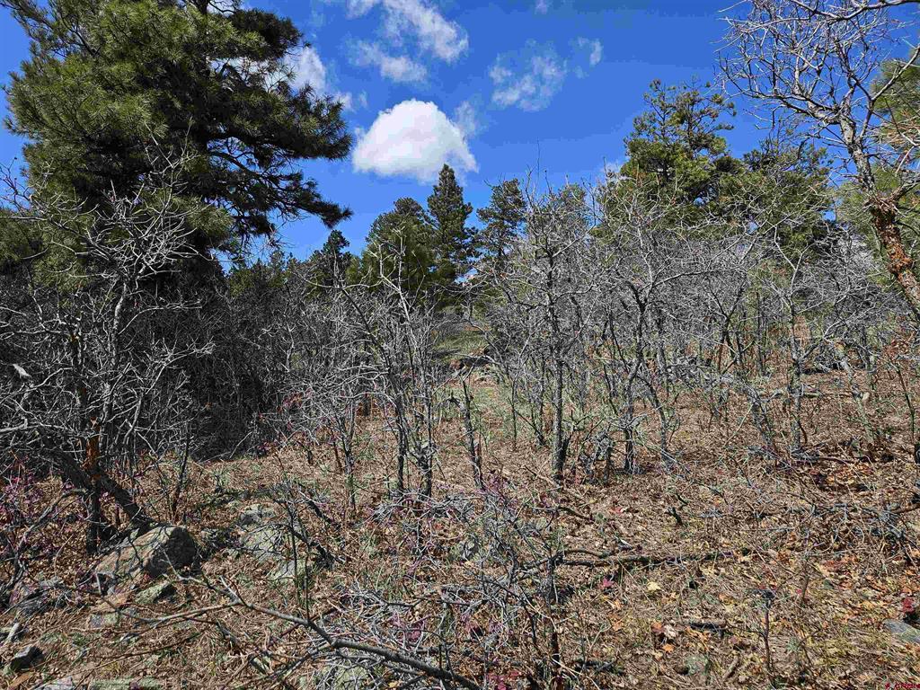 344 Caddy Circle Pagosa Springs CO 81147