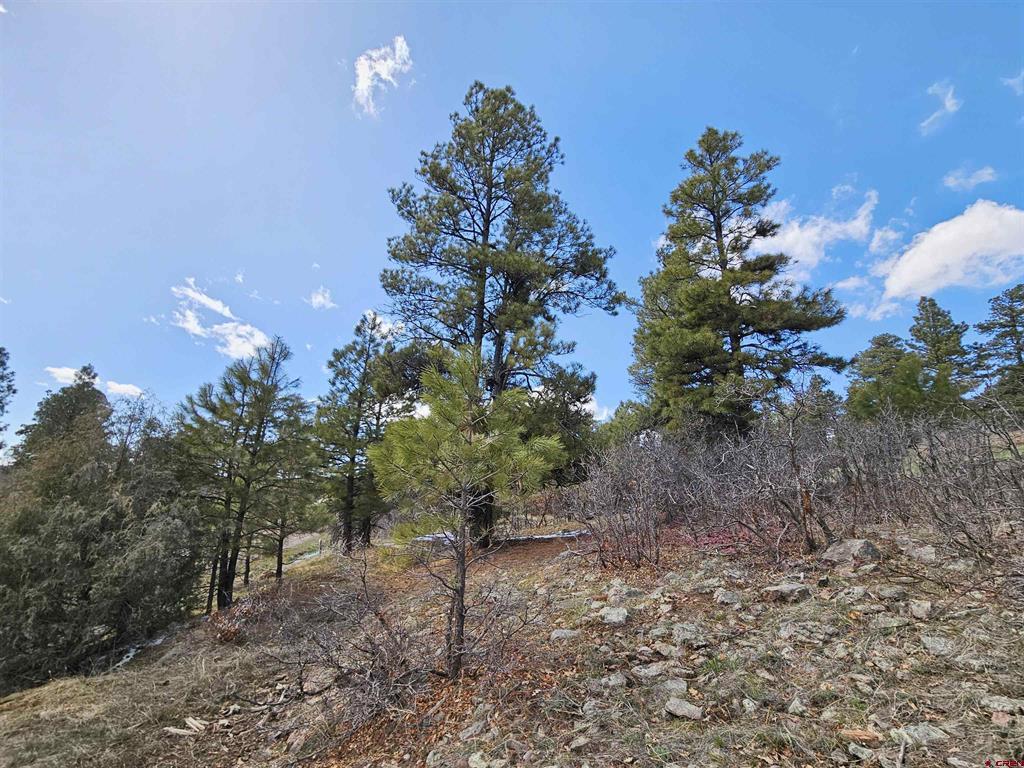 344 Caddy Circle Pagosa Springs CO 81147