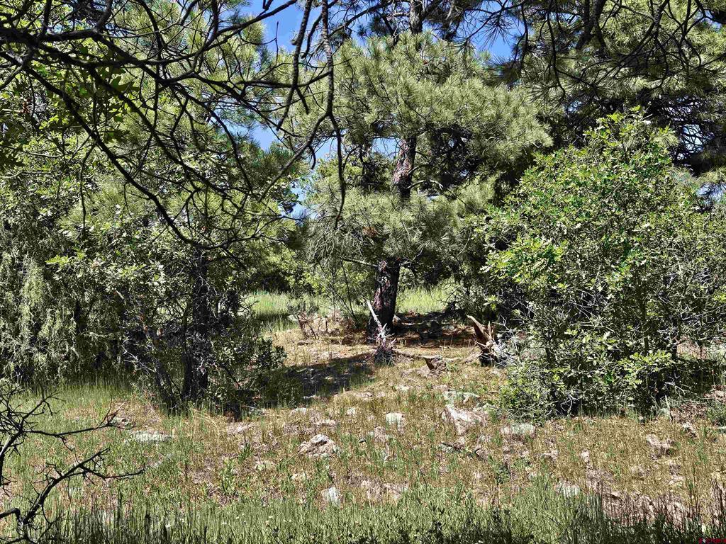 344 Caddy Circle Pagosa Springs CO 81147