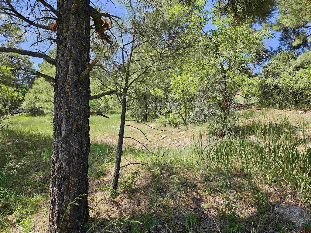 344 Caddy Circle Pagosa Springs CO 81147