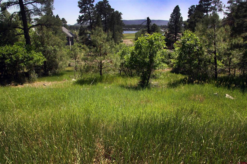 344 Caddy Circle Pagosa Springs CO 81147