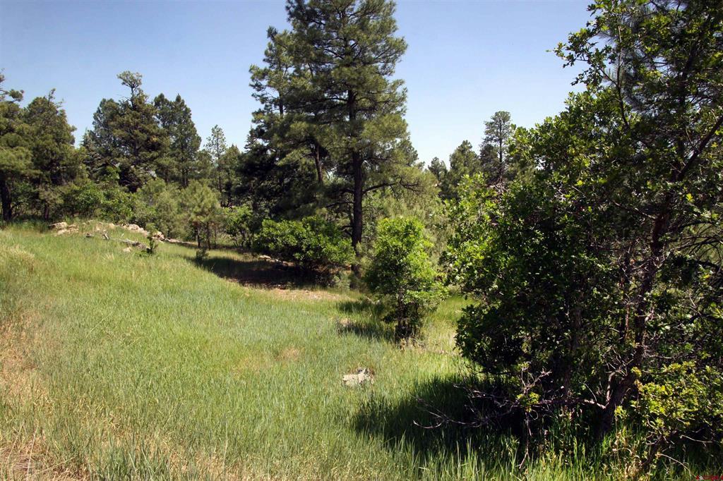 344 Caddy Circle Pagosa Springs CO 81147