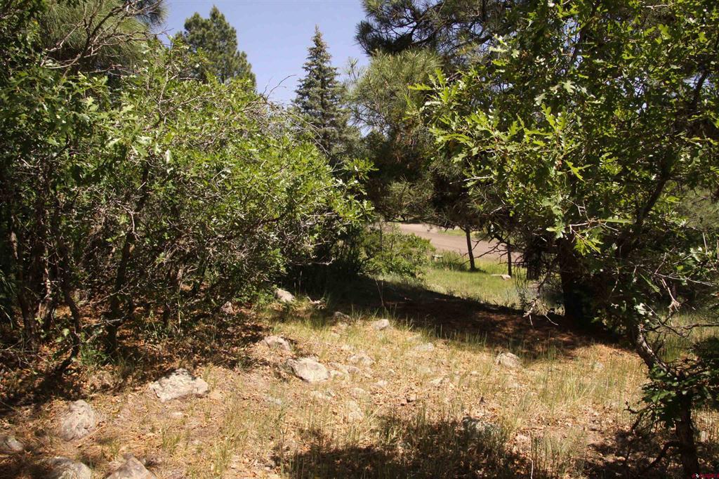 344 Caddy Circle Pagosa Springs CO 81147