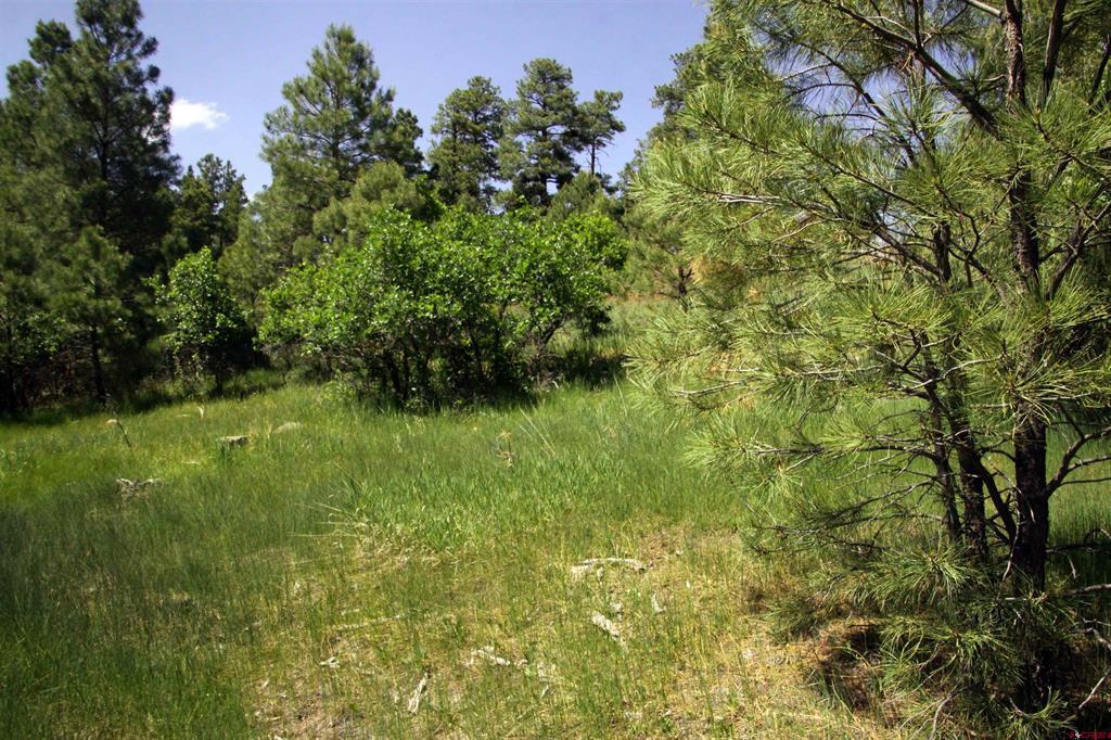 344 Caddy Circle Pagosa Springs CO 81147