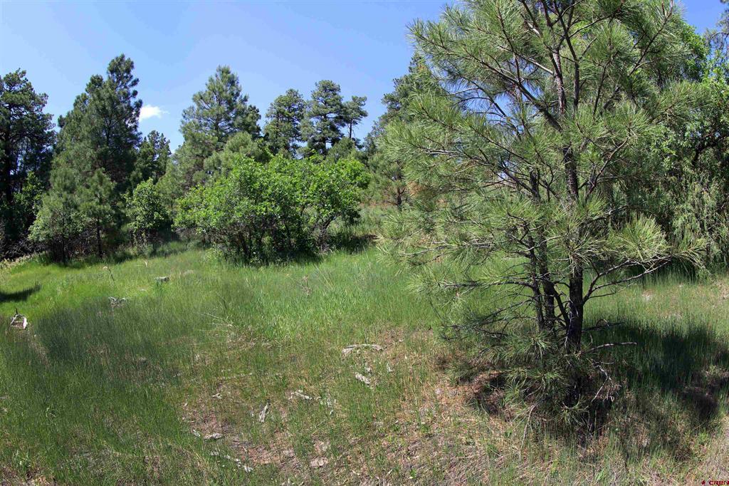 344 Caddy Circle Pagosa Springs CO 81147