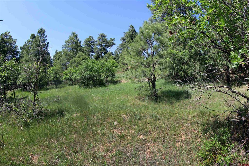 344 Caddy Circle Pagosa Springs CO 81147