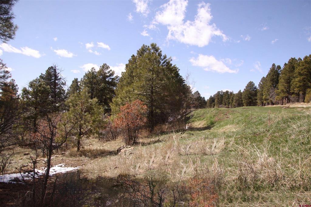 344 Caddy Circle Pagosa Springs CO 81147