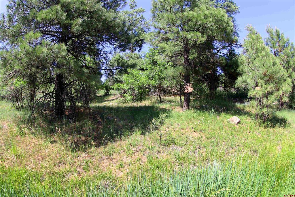 344 Caddy Circle Pagosa Springs CO 81147