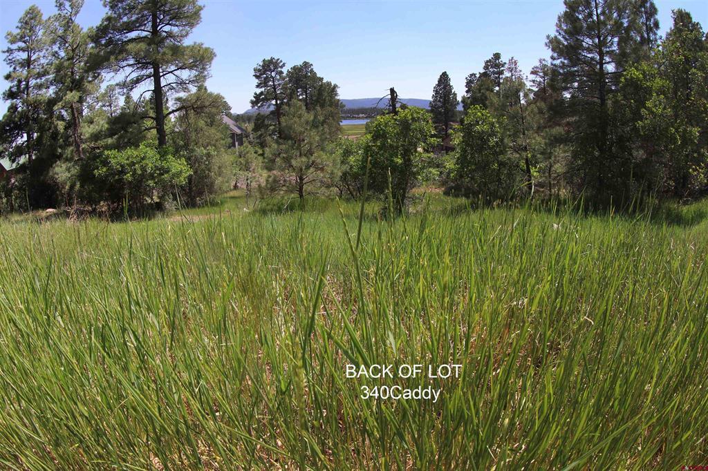 344 Caddy Circle Pagosa Springs CO 81147