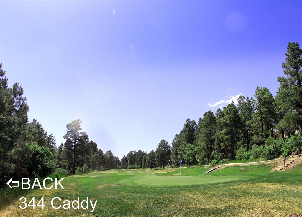 344 Caddy Circle Pagosa Springs CO 81147