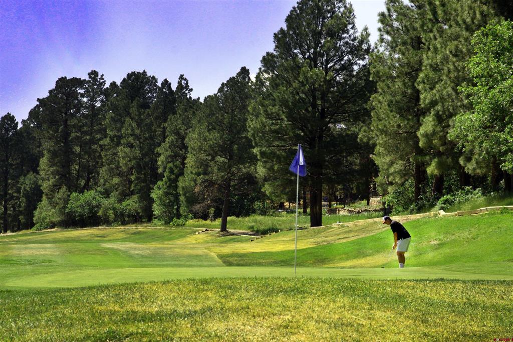 344 Caddy Circle Pagosa Springs CO 81147