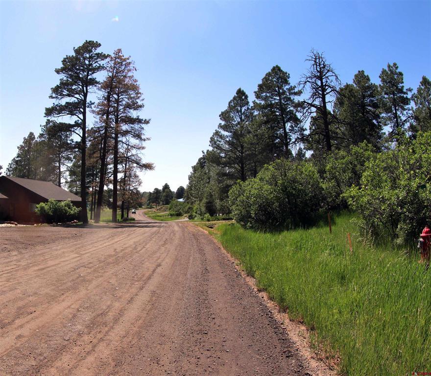 344 Caddy Circle Pagosa Springs CO 81147