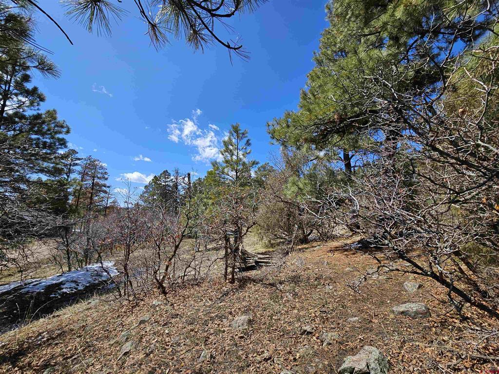 344 Caddy Circle Pagosa Springs CO 81147