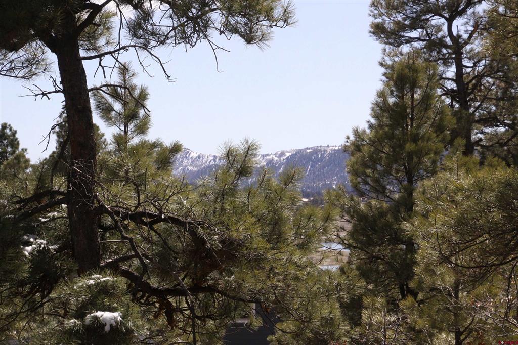 344 Caddy Circle Pagosa Springs CO 81147