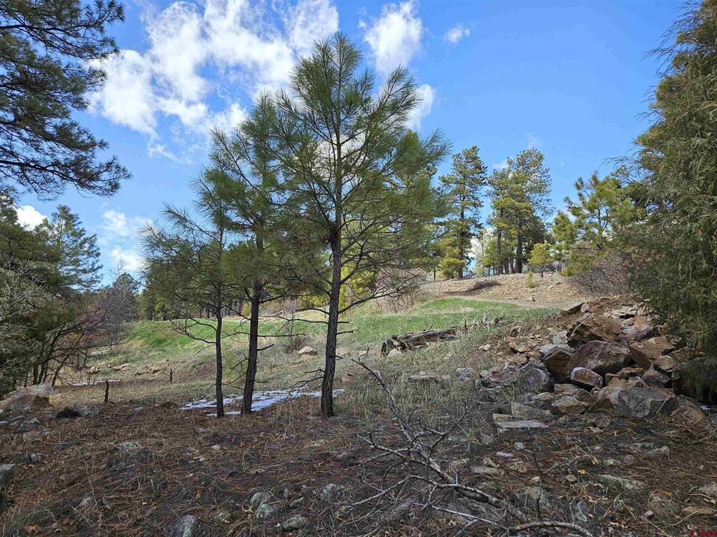 344 Caddy Circle Pagosa Springs CO 81147