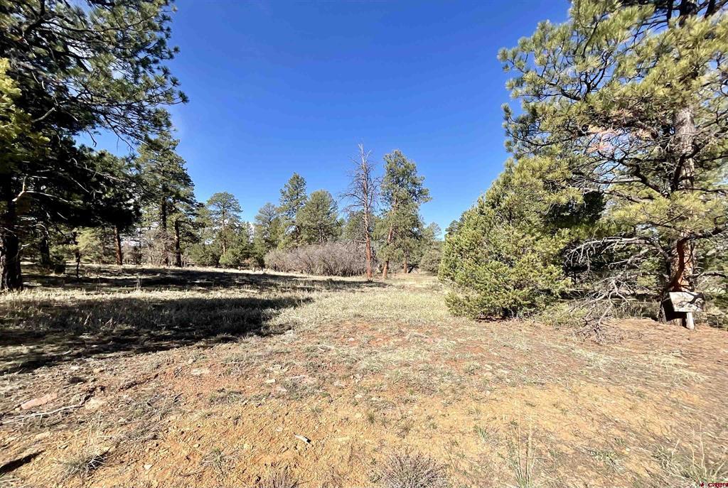 Tbd S Badger Trail Ridgway CO 81432