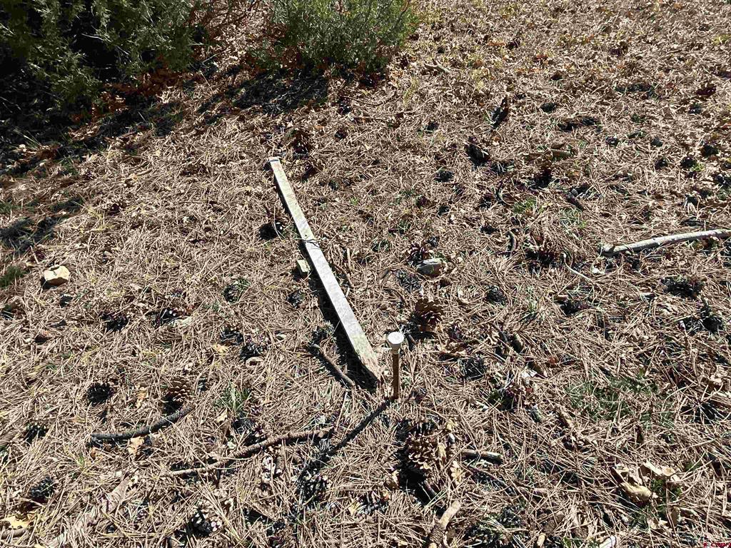 Tbd S Badger Trail Ridgway CO 81432