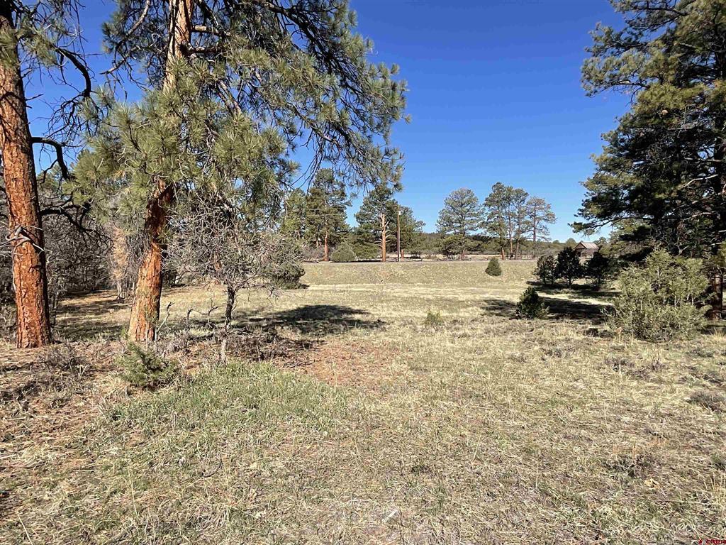 Tbd S Badger Trail Ridgway CO 81432