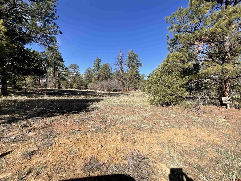 Tbd S Badger Trail Ridgway CO 81432