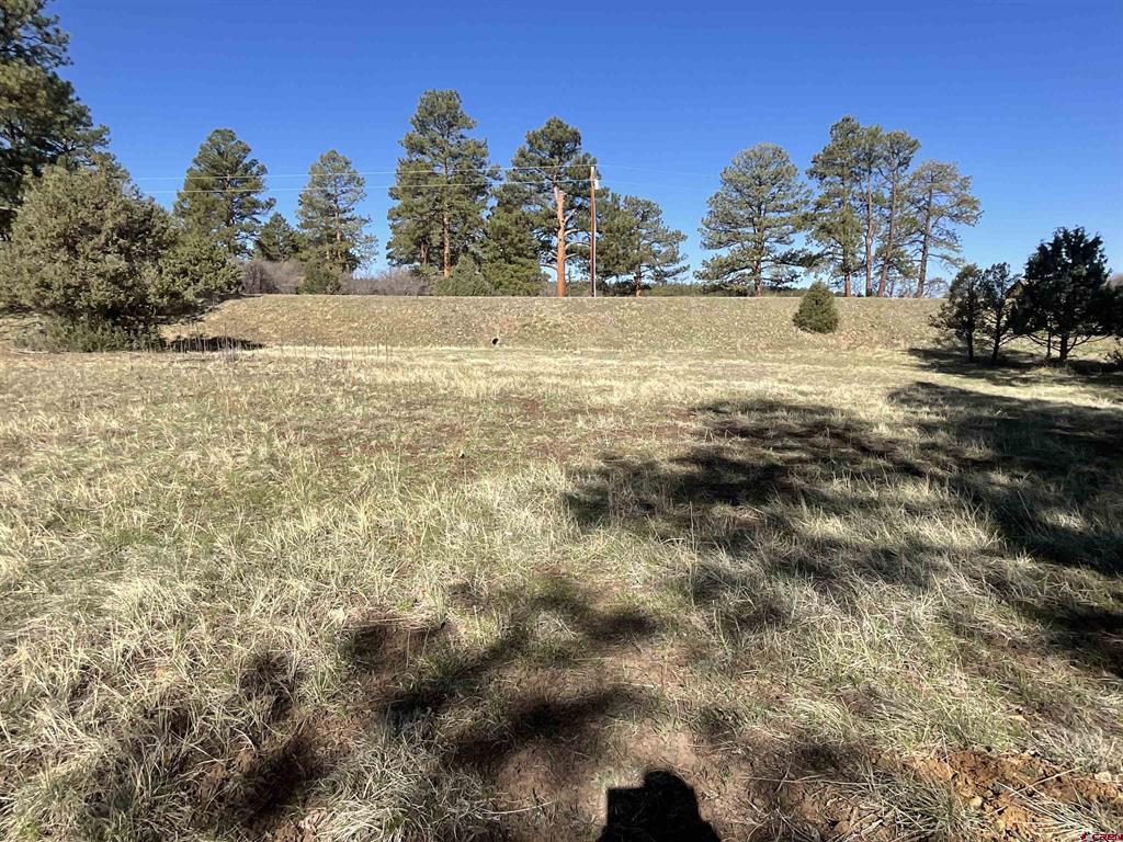 Tbd S Badger Trail Ridgway CO 81432