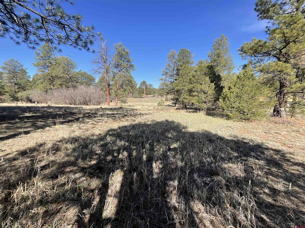 Tbd S Badger Trail Ridgway CO 81432
