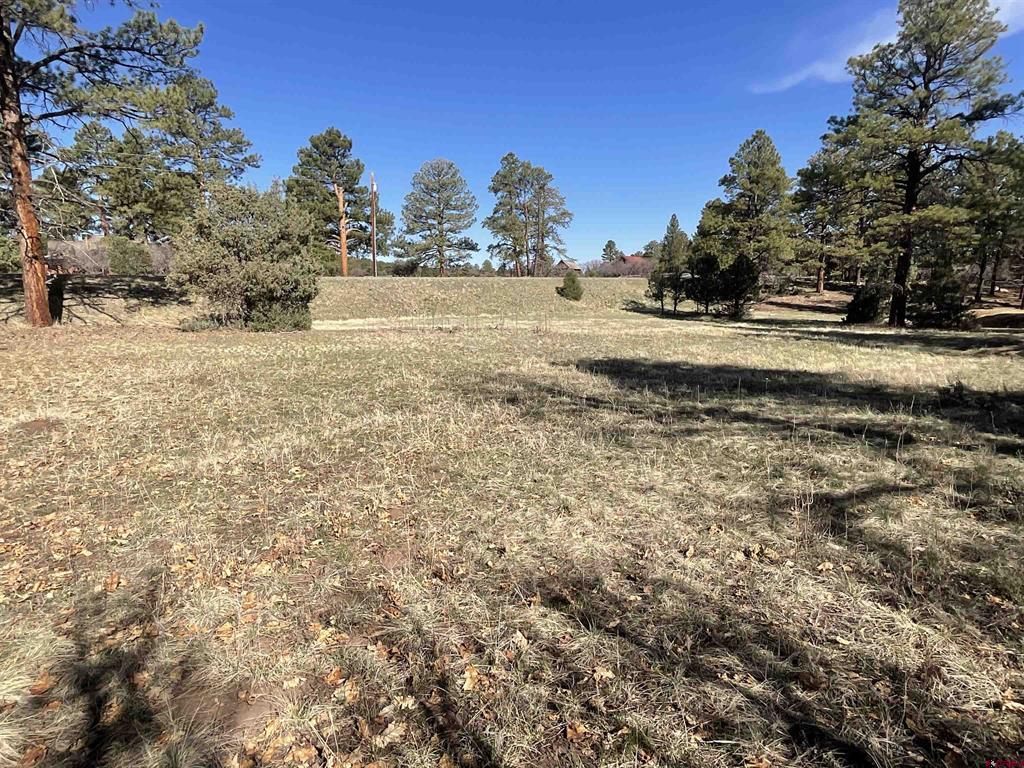 Tbd S Badger Trail Ridgway CO 81432