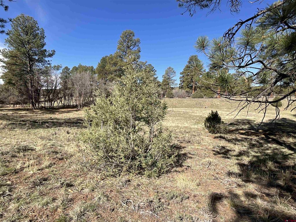 Tbd S Badger Trail Ridgway CO 81432
