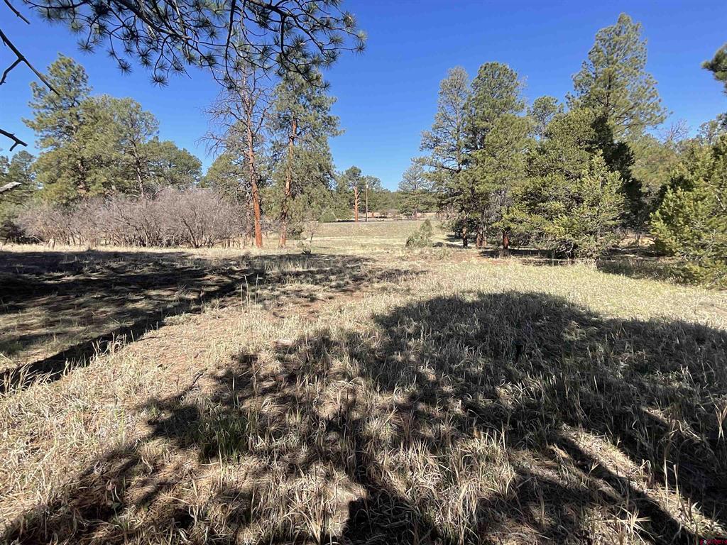 Tbd S Badger Trail Ridgway CO 81432