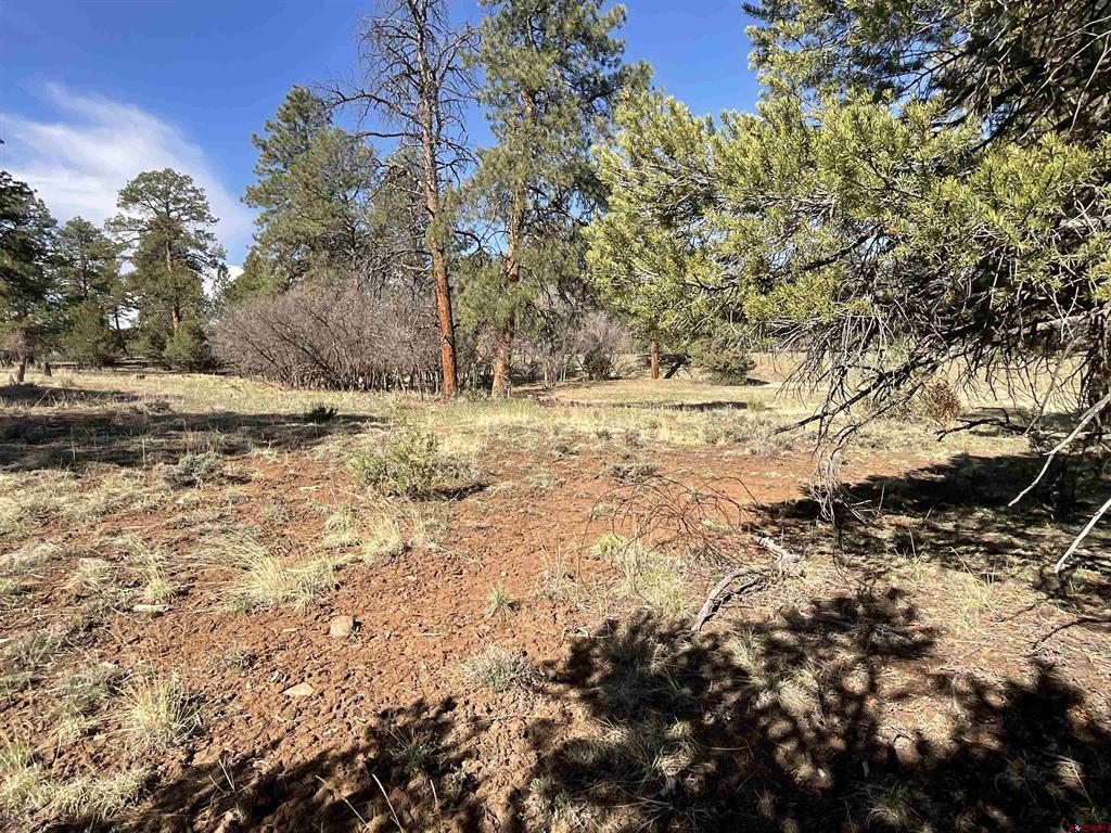 Tbd S Badger Trail Ridgway CO 81432