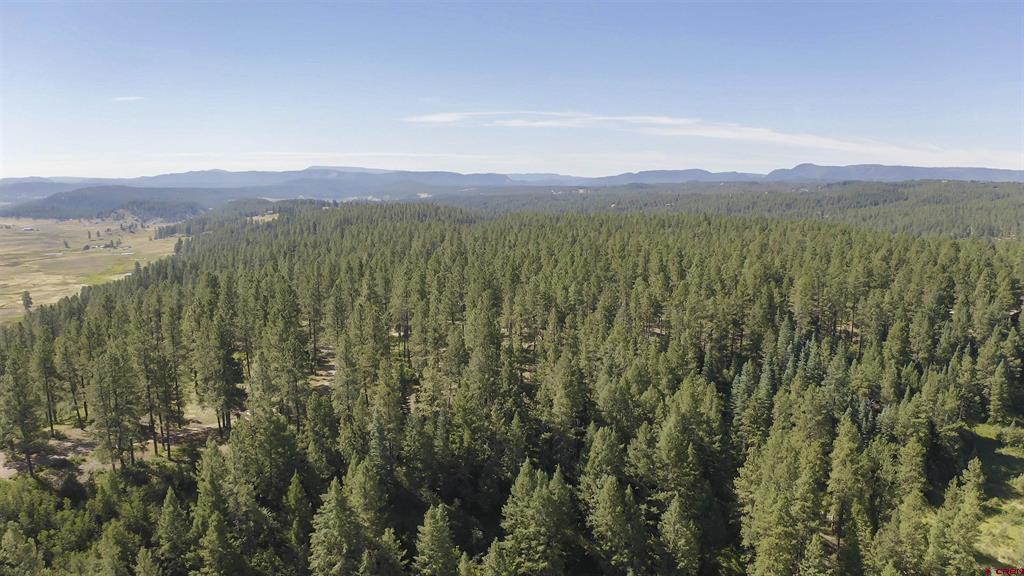 X County Road 400 Pagosa Springs CO 81147