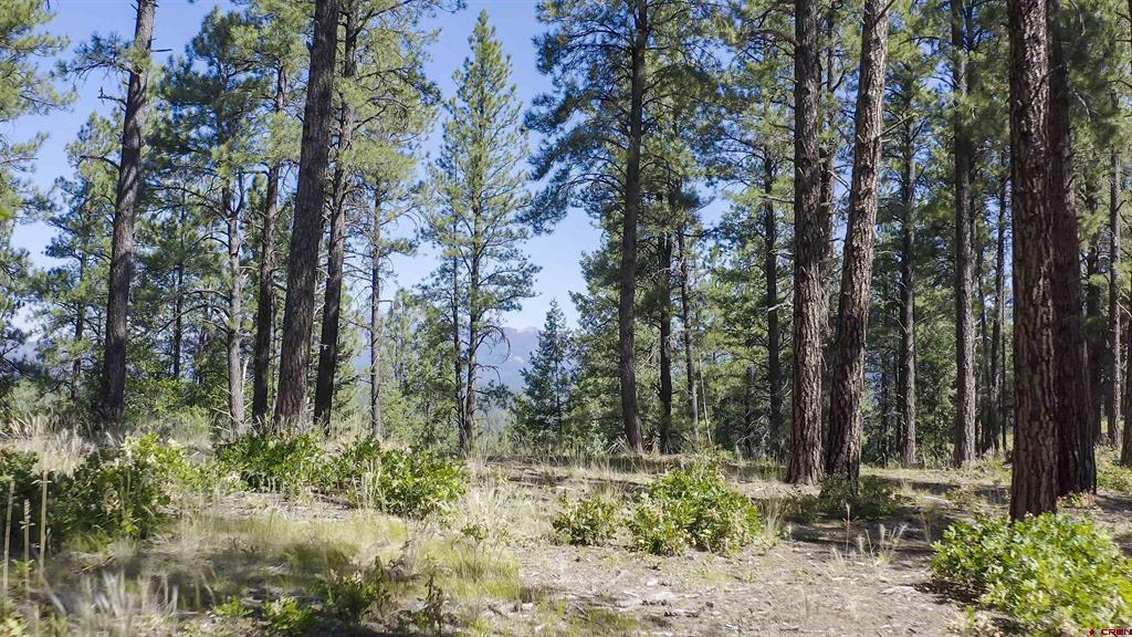 X County Road 400 Pagosa Springs CO 81147