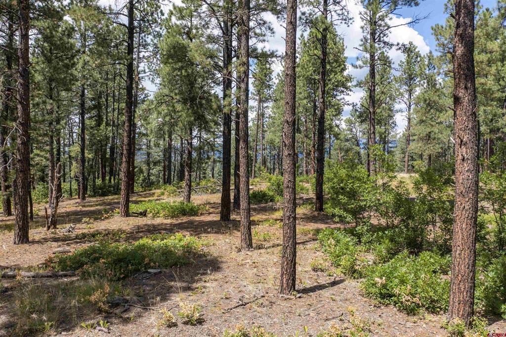X County Road 400 Pagosa Springs CO 81147