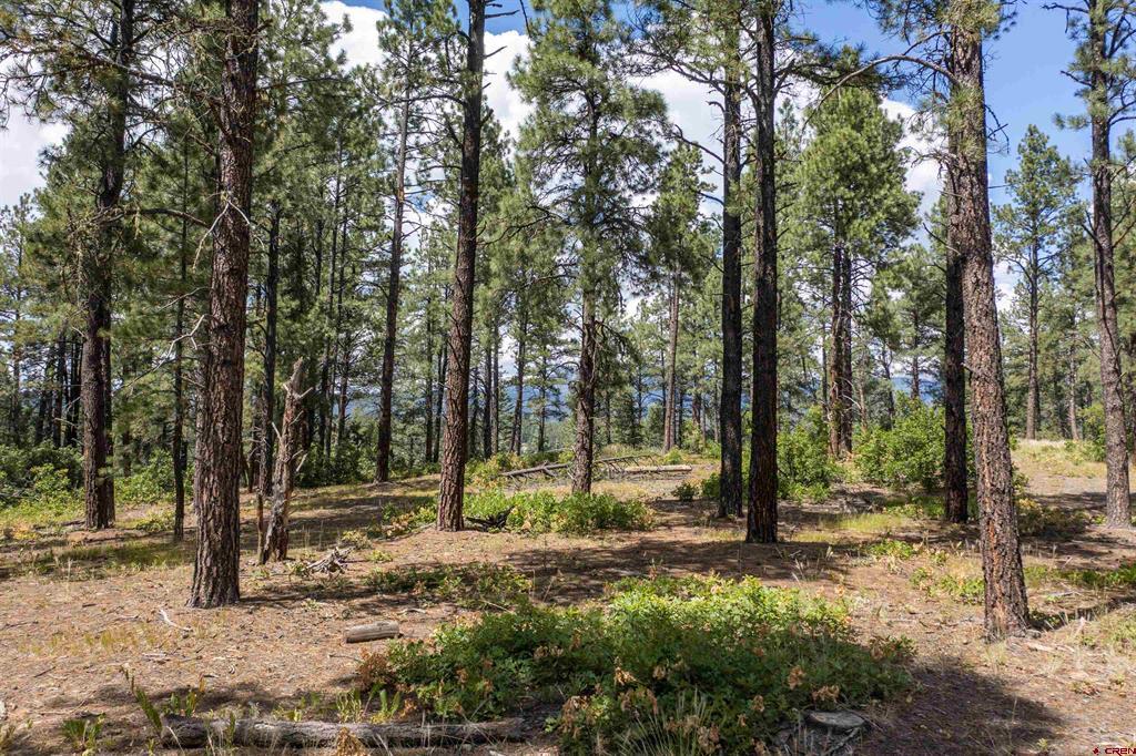X County Road 400 Pagosa Springs CO 81147