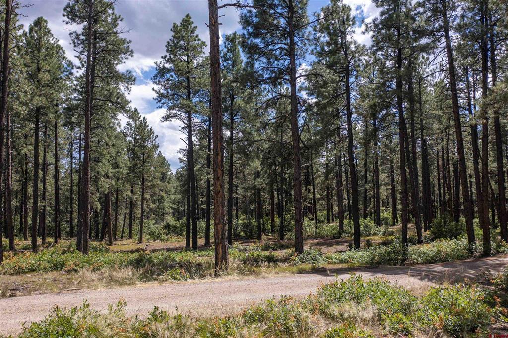 X County Road 400 Pagosa Springs CO 81147