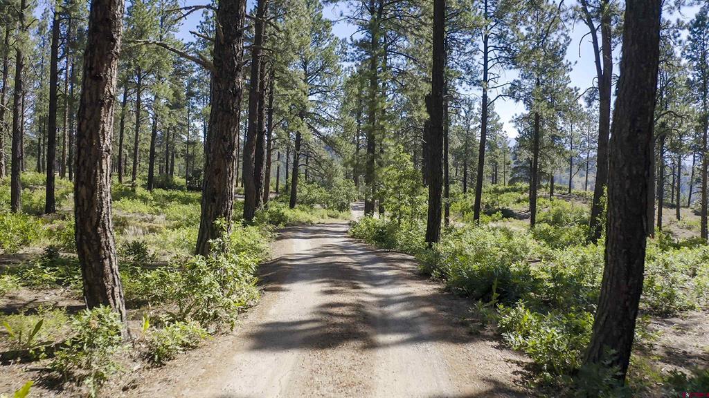 X County Road 400 Pagosa Springs CO 81147