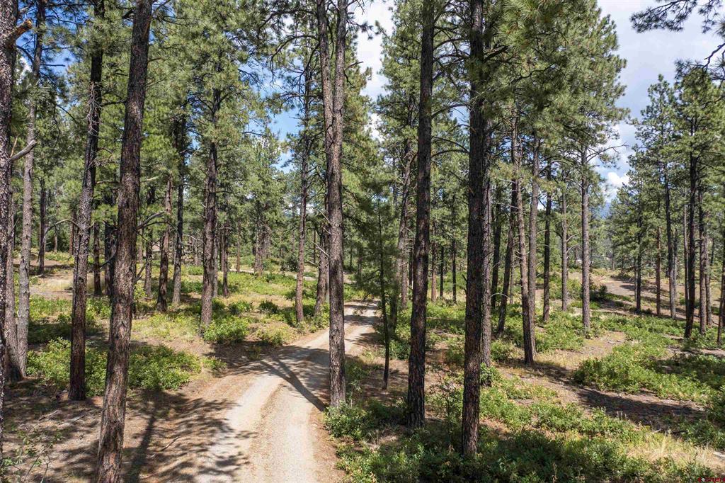 X County Road 400 Pagosa Springs CO 81147