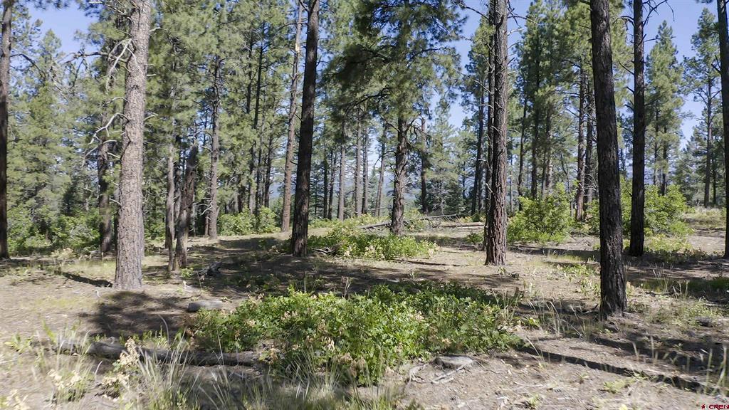 X County Road 400 Pagosa Springs CO 81147