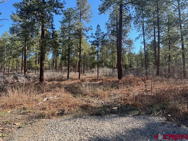 1086 Edgemont Highlands Drive Durango CO 81301