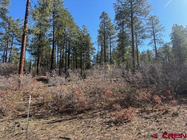 1086 Edgemont Highlands Drive Durango CO 81301