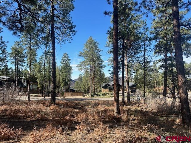 1086 Edgemont Highlands Drive Durango CO 81301