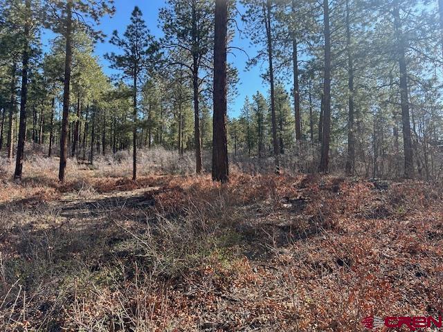 1086 Edgemont Highlands Drive Durango CO 81301