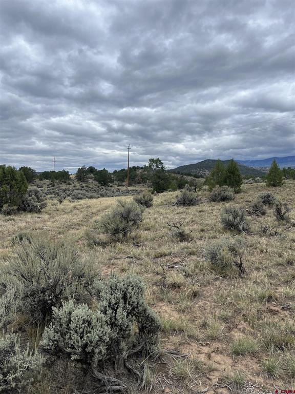 Tbd Terrace Drive Ridgway CO 81432