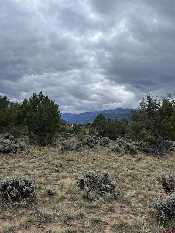 Tbd Terrace Drive Ridgway CO 81432