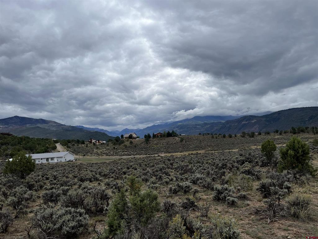 Tbd Terrace Drive Ridgway CO 81432