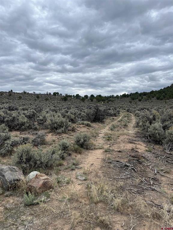 Tbd Terrace Drive Ridgway CO 81432
