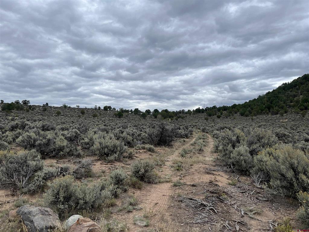 Tbd Terrace Drive Ridgway CO 81432