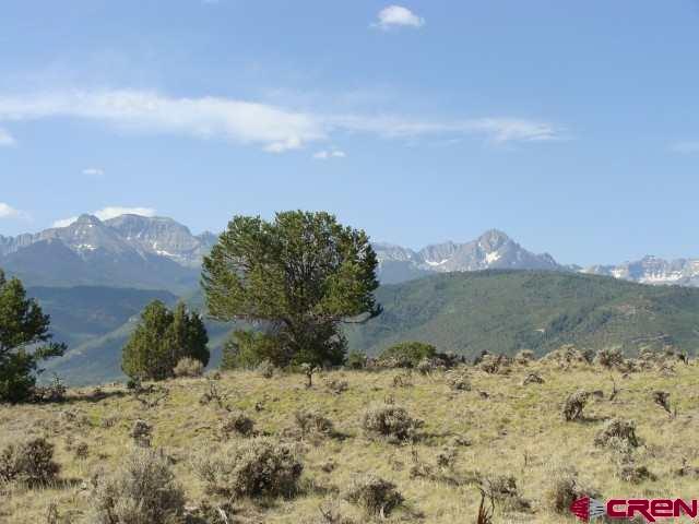 Tbd Terrace Drive Ridgway CO 81432