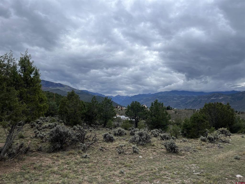 Tbd Terrace Drive Ridgway CO 81432